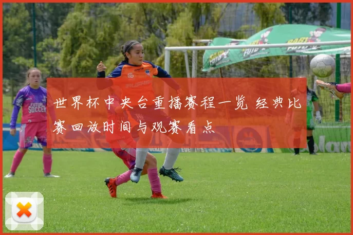 世界杯中央台重播赛程一览 经典比赛回放时间与观赛看点