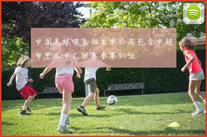 中国足球俱乐部名单公布包含中超中甲及中乙联赛参赛队伍